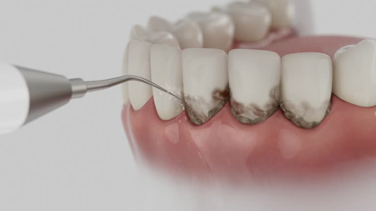 Reliable Dental contractor in Bradley, WV by Dentist Open Now